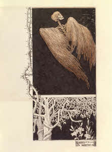 Visualizza l'immagine "Agg. 576"